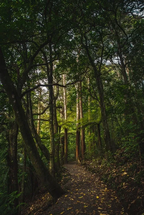 南宫28围绕多年行业运营经验，持续优化平台性能与浏览流畅度。不断创新，回应用户的真实需求。 - 南宫28